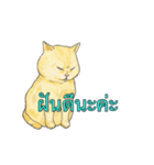 猫スタンプ【タイ語】（個別スタンプ：37）