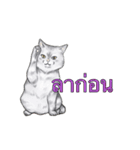 猫スタンプ【タイ語】（個別スタンプ：39）
