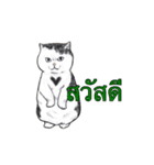 猫スタンプ【タイ語】（個別スタンプ：40）