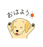 DOG 孔太くん1（個別スタンプ：1）