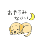 DOG 孔太くん1（個別スタンプ：2）