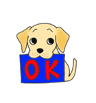 DOG 孔太くん1（個別スタンプ：3）