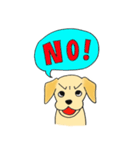 DOG 孔太くん1（個別スタンプ：4）