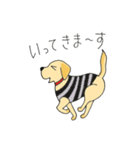 DOG 孔太くん1（個別スタンプ：5）