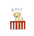DOG 孔太くん1（個別スタンプ：6）