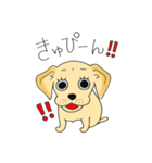 DOG 孔太くん1（個別スタンプ：9）