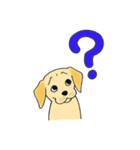 DOG 孔太くん1（個別スタンプ：10）