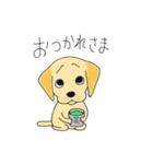DOG 孔太くん1（個別スタンプ：12）