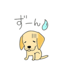 DOG 孔太くん1（個別スタンプ：14）