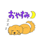 DOG サリーちゃん1（個別スタンプ：2）
