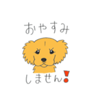 DOG サリーちゃん1（個別スタンプ：3）