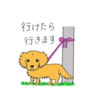 DOG サリーちゃん1（個別スタンプ：10）