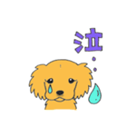 DOG サリーちゃん1（個別スタンプ：12）