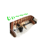 kawaiiワンちゃん達（個別スタンプ：2）