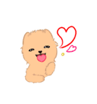 ポ─メラニアンの ポメな 日常（個別スタンプ：17）