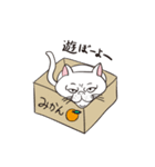 THE ぶさねこ（個別スタンプ：6）