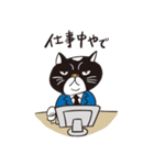 THE ぶさねこ（個別スタンプ：20）