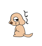 ダックスフンドくん（個別スタンプ：3）