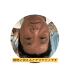 だーまんだよ（個別スタンプ：1）