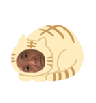 だーまんだよ（個別スタンプ：3）
