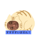だーまんだよ（個別スタンプ：4）