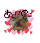 るうちゃんたぶちゃん❤（個別スタンプ：3）