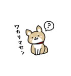 柴犬の可愛い日常会話スタンプ（個別スタンプ：21）