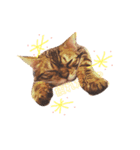 ねこのジャック 第1弾（個別スタンプ：1）