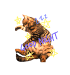 ねこのジャック 第1弾（個別スタンプ：2）