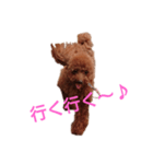 といぷ～ちゃん（個別スタンプ：2）