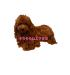 といぷ～ちゃん（個別スタンプ：4）