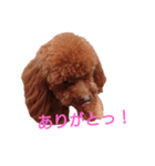 といぷ～ちゃん（個別スタンプ：7）