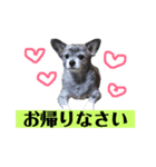マイロの気持ち 。2（個別スタンプ：2）