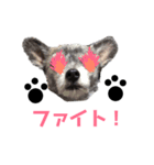マイロの気持ち 。2（個別スタンプ：8）