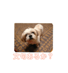 高橋ベリー（個別スタンプ：4）