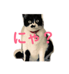 ぱぱだいすきスタンプ（個別スタンプ：1）