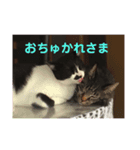 ぱぱだいすきスタンプ（個別スタンプ：2）