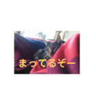 ぱぱだいすきスタンプ（個別スタンプ：4）