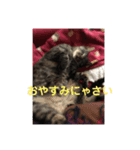 ぱぱだいすきスタンプ（個別スタンプ：8）