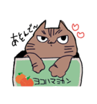 かわいいきじとらお（個別スタンプ：1）