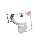 ラッシーのおうち1周年記念（個別スタンプ：6）