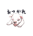 ラッシーのおうち1周年記念（個別スタンプ：10）