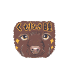 ラッシーのおうち1周年記念（個別スタンプ：18）
