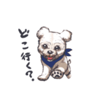 ラッシーのおうち1周年記念（個別スタンプ：23）