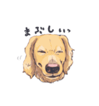 ラッシーのおうち1周年記念（個別スタンプ：28）