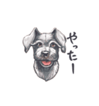 ラッシーのおうち1周年記念（個別スタンプ：29）