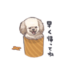 ラッシーのおうち1周年記念（個別スタンプ：36）