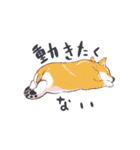 ラッシーのおうち1周年記念（個別スタンプ：38）