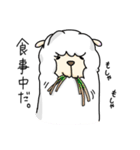 アルパカの「しろ」。（個別スタンプ：24）