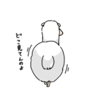 アルパカの「しろ」。（個別スタンプ：40）